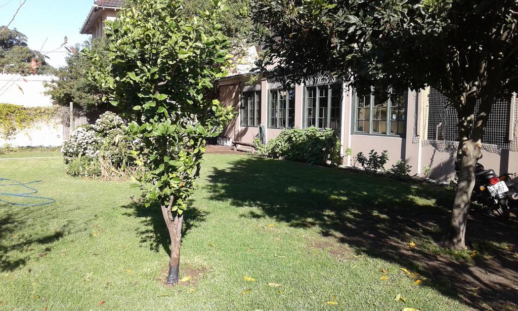 Riverlodge Backpackers Κέιπ Τάουν Εξωτερικό φωτογραφία