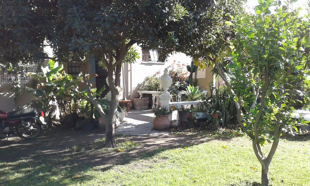 Riverlodge Backpackers Κέιπ Τάουν Εξωτερικό φωτογραφία