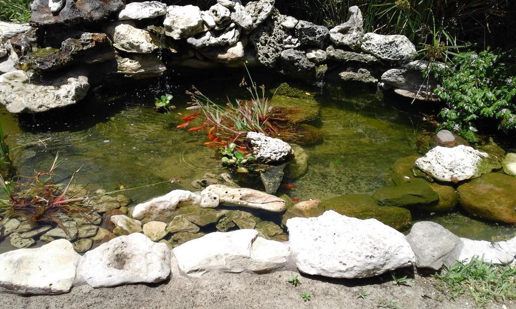 Riverlodge Backpackers Κέιπ Τάουν Εξωτερικό φωτογραφία